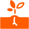 Growth - Jagobahasa